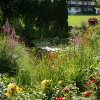 Blick in den grünen, blühenden Garten, welcher zu den Appartements gehört