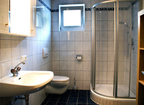 Das Bad mit weißen Fliesen und verglaster Dusche, Waschbecken und Toilette